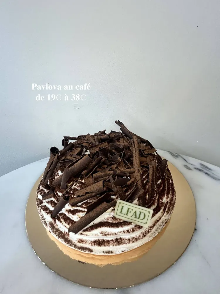 gateaux utiliser pour professionnels (4)